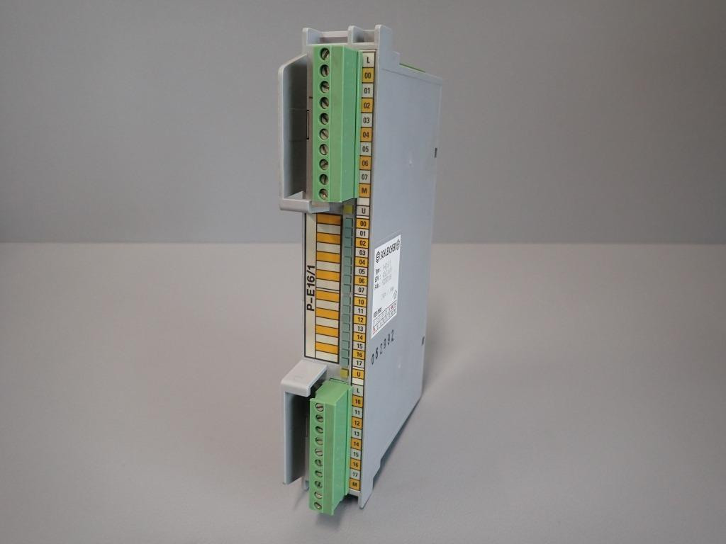 SCHLEICHER P-E16/1