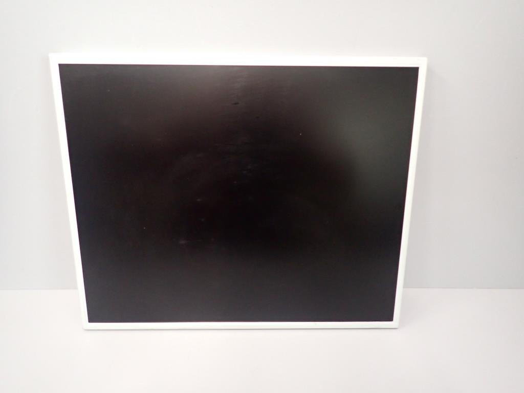 AU OPTRONICS G190EG02V1