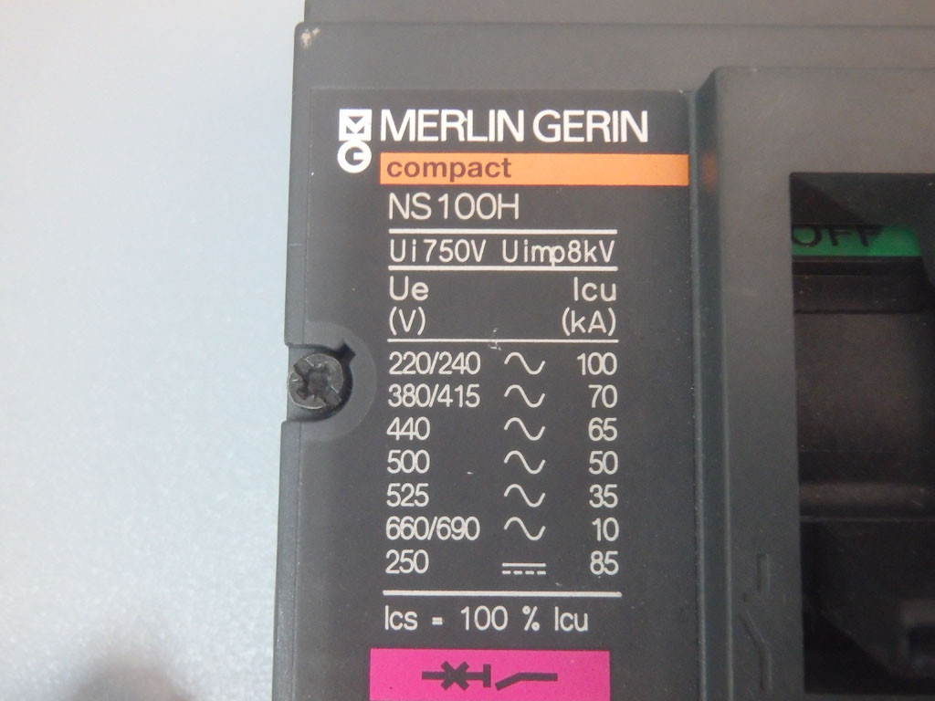 MERLIN GERIN NS100H