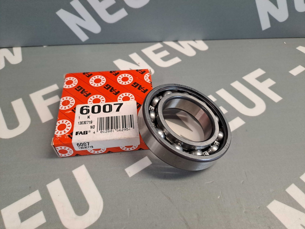 FAG 6007