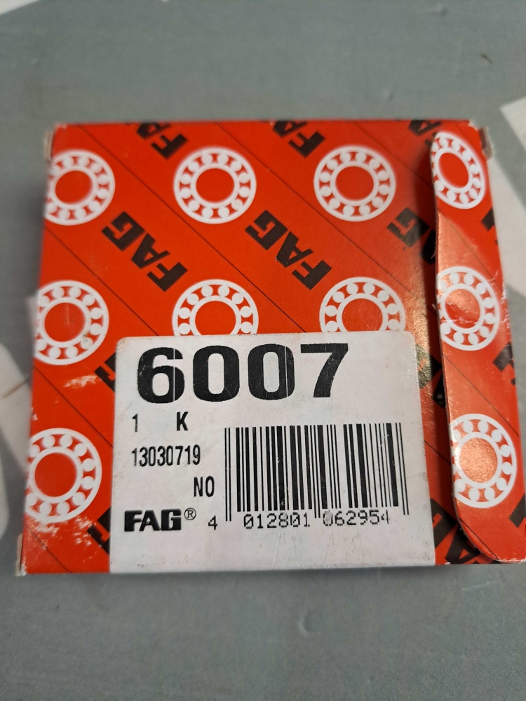 FAG 6007