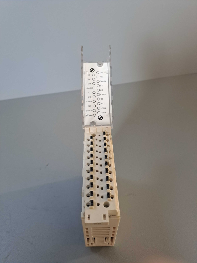 SCHNEIDER  BMXAMM0600