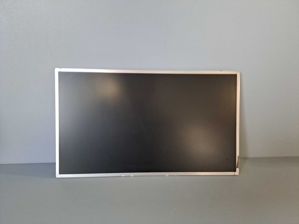 AU OPTRONICS B156XW02 V.1