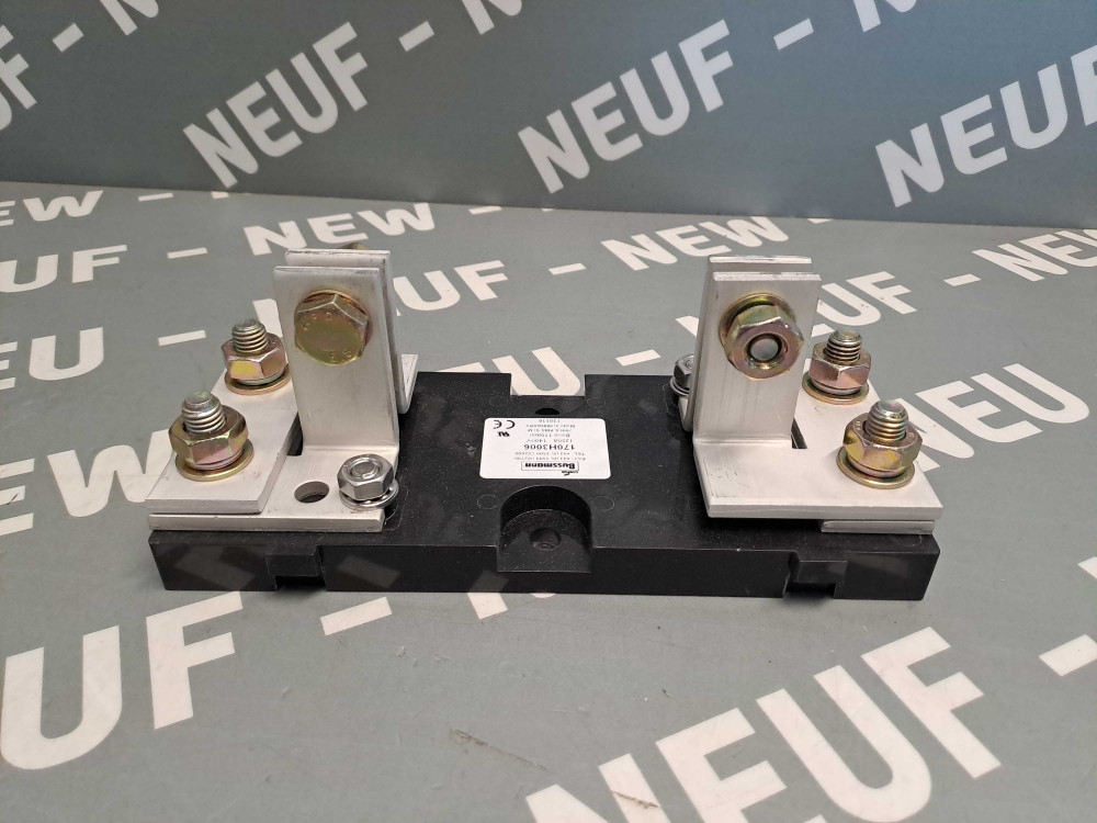 BUSSMANN 170H3006