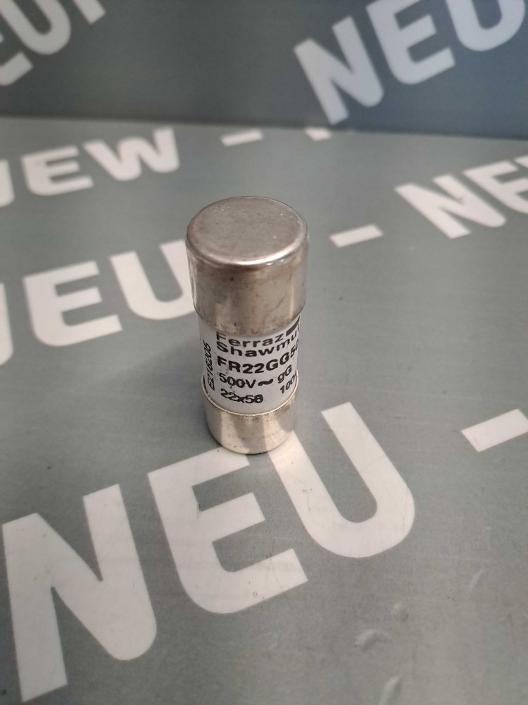 FERRAZ SHAWMUT FR22GG50V100