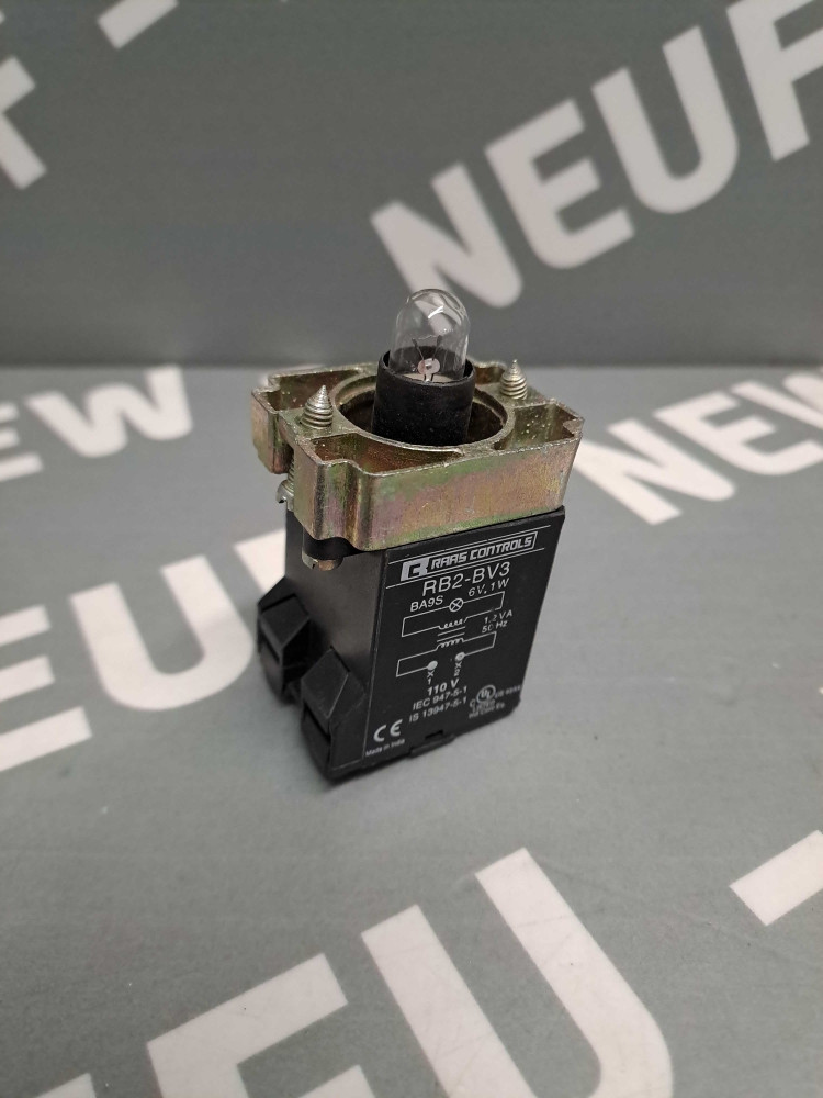 RAAS CONTROLS  RB2BV3