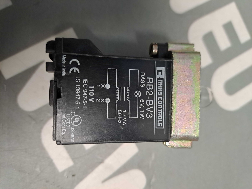 RAAS CONTROLS  RB2BV3