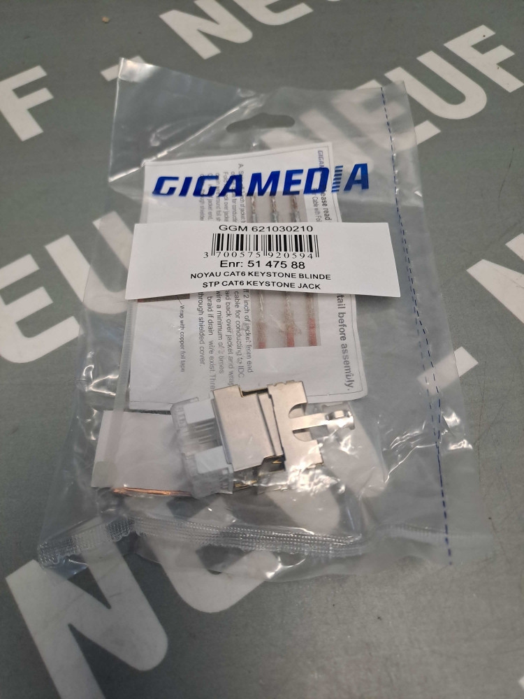 GIGAMEDIA GGM621030210