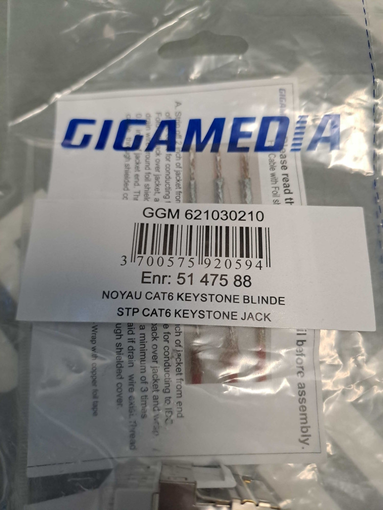 GIGAMEDIA GGM621030210