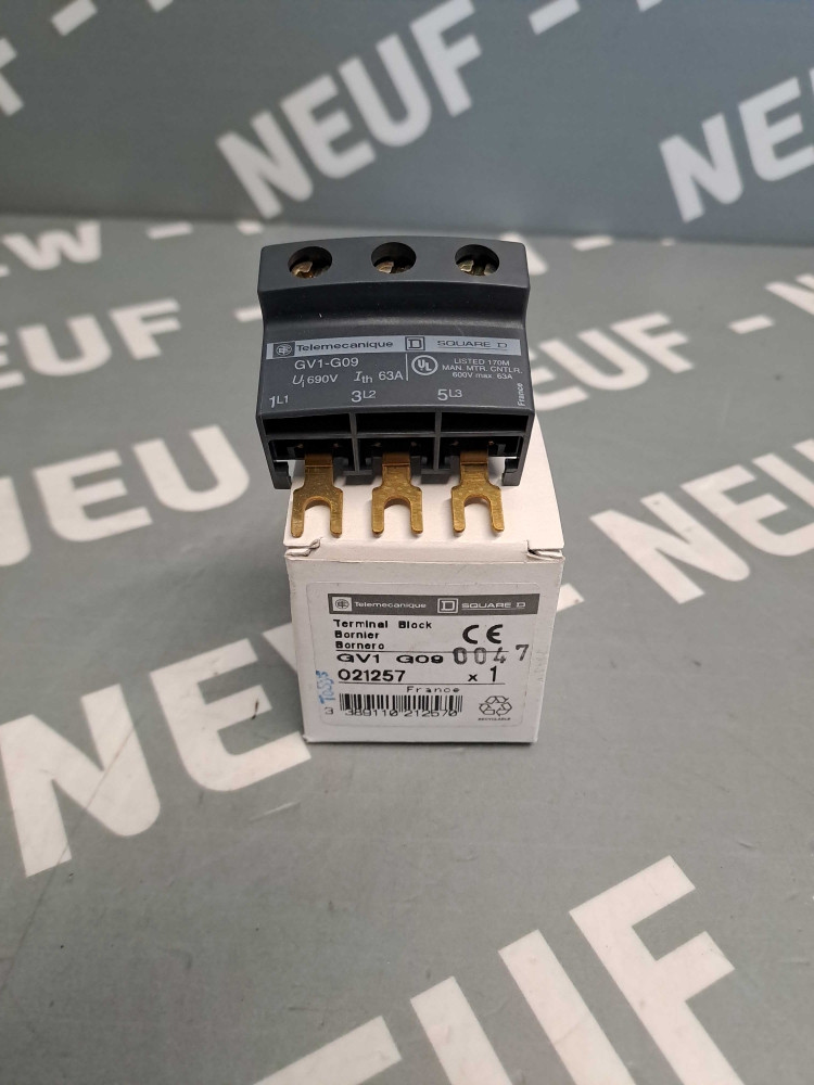 TÉLÉMÉCANIQUE  GV1G09