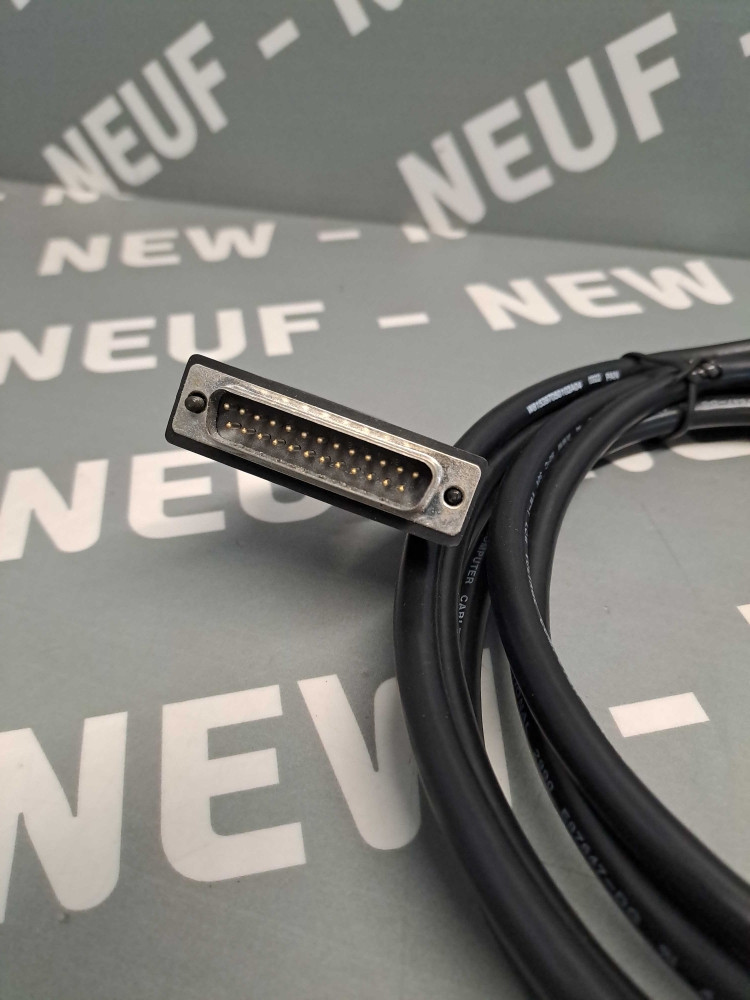 PAN INTERNATIONAL  W815397050103A04