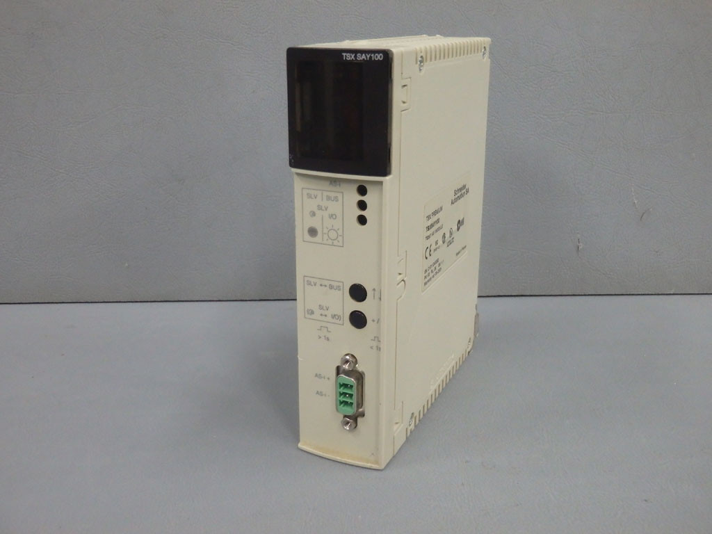 SCHNEIDER  TSXSAY100