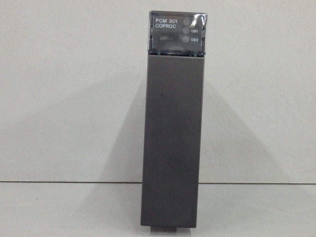 GE FANUC IC693PCM301L