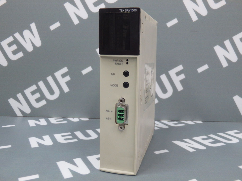 SCHNEIDER  TSXSAY1000